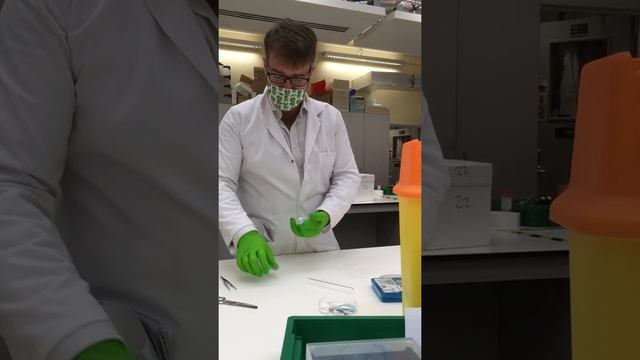 BS2060 Dictyostelium development practical (Instructions for a development assay) смотреть онлайн