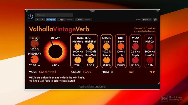14. Valhalla Vintage Verb