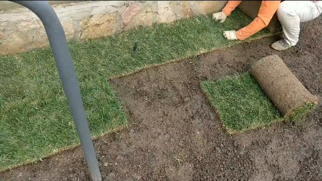 Как постелить рулонный газон за 4 часа? смотреть онлайн