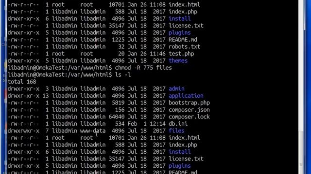 Omeka Classic: Set Permissions and Final Install смотреть онлайн