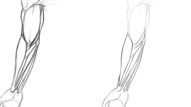 Lesson 02. Drawing the Arm with the Palm Facing Upward Refinement смотреть онлайн