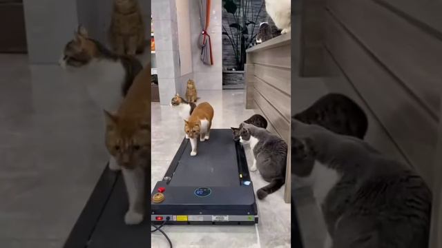 Подготовка к лету смотреть онлайн