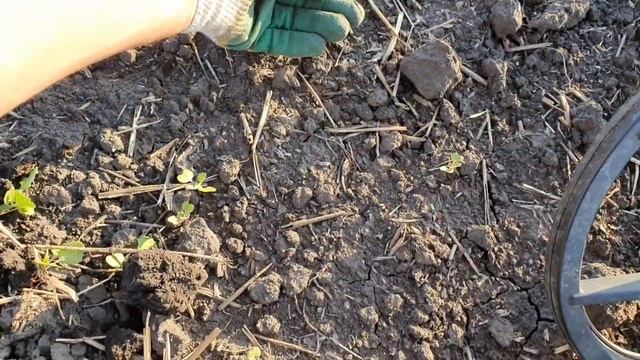Тут стояла старая деревняОтличный Коп с Легендой,куча монет,крестиков,колец,чешуя давно так не копа смотреть онлайн