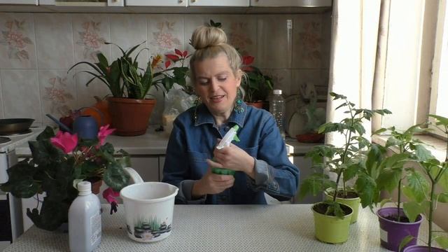 Внекорневая подкормка рассады томатов смотреть онлайн