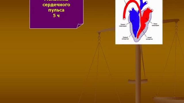Презентация на тему Как связана физика и медицина смотреть онлайн
