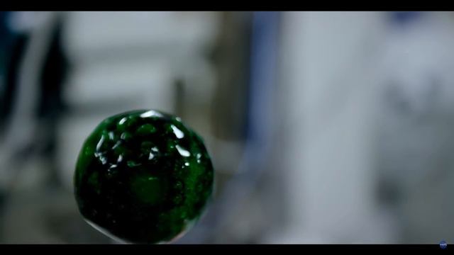 Subnautica - CARAR CURE CINEMATIC, ENZYME 42 INFO & SEARCHING FOR EMPEROR HATCHING ENZYMES! Gamepla смотреть онлайн