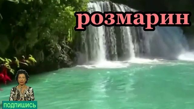 !!!СУПЕР ПАМЯТЬ!!!  Приправа для  улучшения Памяти ешь  ее каждый день  топ5хайп