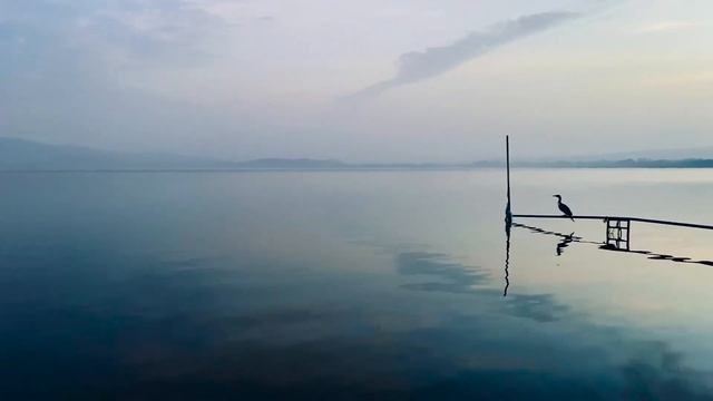 Земля – грандиозный эксперимент высшего разума смотреть онлайн