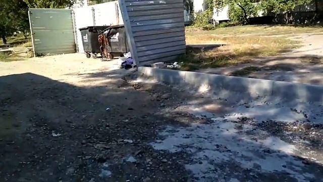 В Павлограде жгут мусорные баки