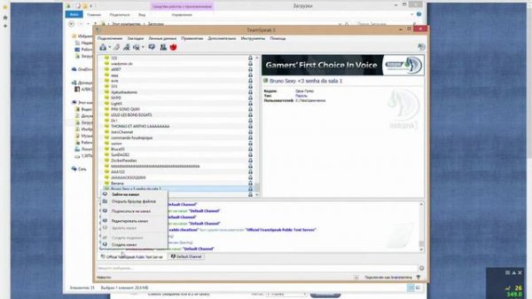 Cоздаём канал TeamSpeak.