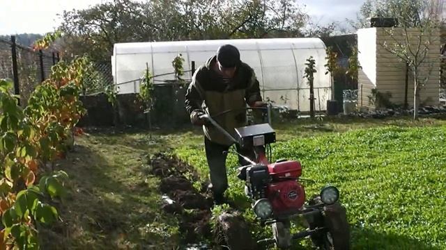 Мотоблок Угра  Работа с плугом