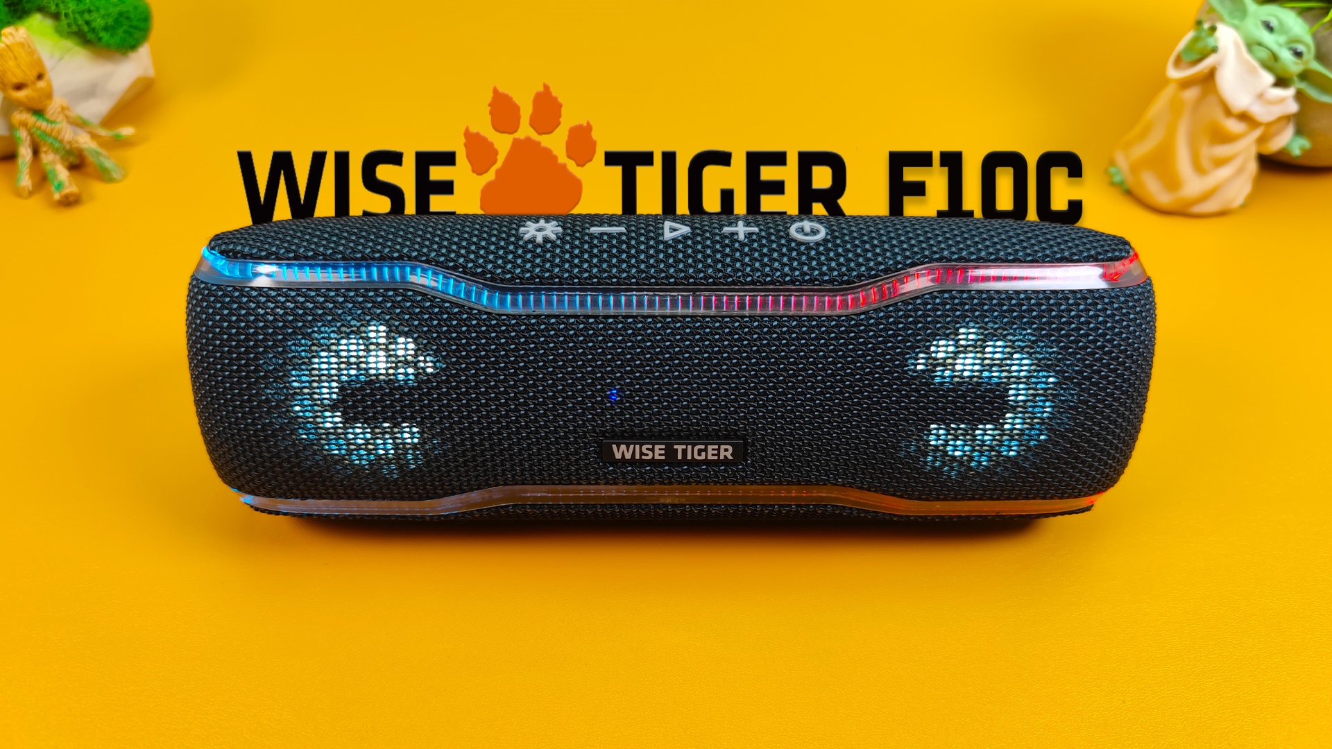 WISETIGER F10C - Мощная Bluetooth КОЛОНКА с защитой IPX7 которая умеет ПЛАВАТЬ ! смотреть онлайн