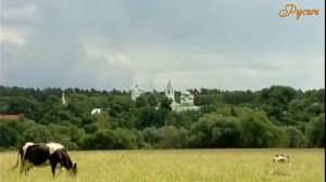 Устал я жить в родном краю...