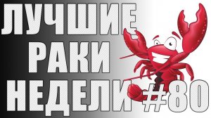 ЛРН выпуск №80. СНАЙПЕРСКИЙ ЛАЙФХАК и РАКООБРАЗНОЕ АССОРТИ [Лучшие Раки Недели]