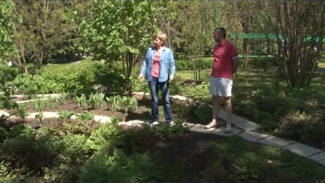 Теневой сад смотреть онлайн