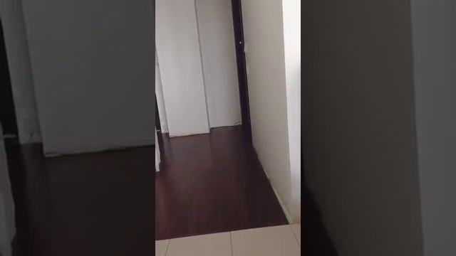 щенки якутской лайки в продаже смотреть онлайн