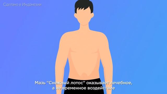 Анимационный ролик Снежный лотос смотреть онлайн