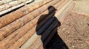 BUXORO VOBKENT CHO'P BOZOR. БУХОРО ВОБКЕНТ ЧУП БОЗОР.   30 октября 2020 г.