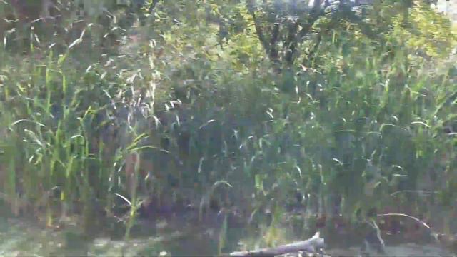 В поисках фарватера.Проход с озера Белое в реку Северский донец. смотреть онлайн