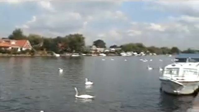 Walton on Thames смотреть онлайн