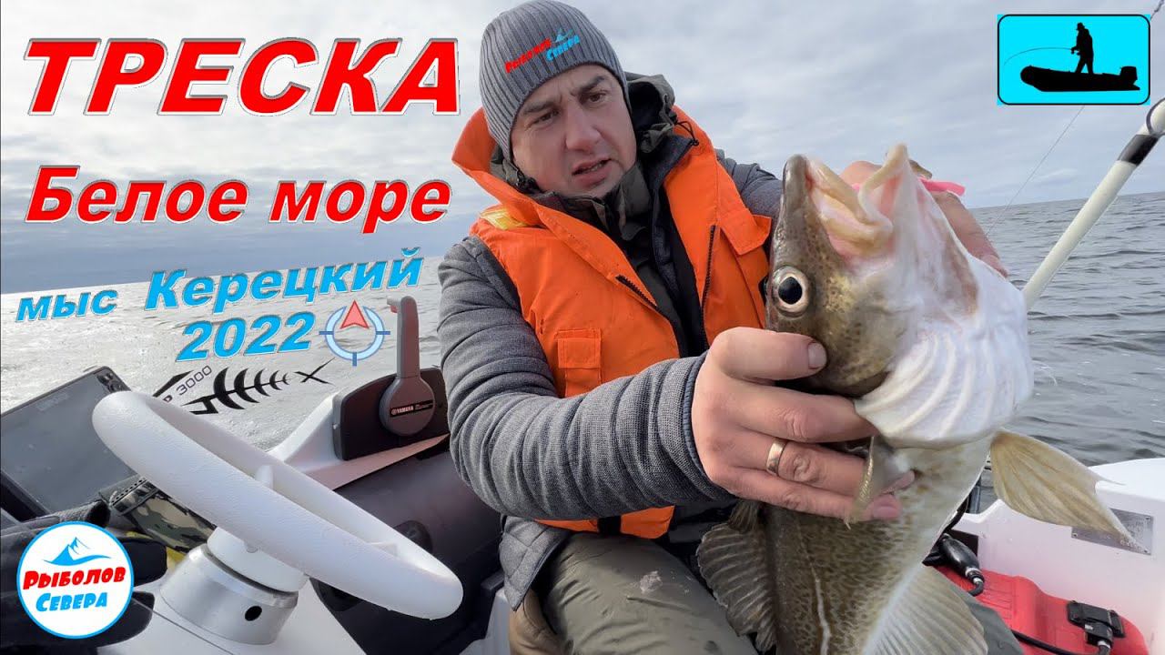 ✅ ТРЕСКА НА БЕЛОМ МОРЕ 2022 мыс. КЕРЕЦКИЙ #Рыболов_Севера смотреть онлайн