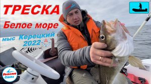 ✅ ТРЕСКА НА БЕЛОМ МОРЕ 2022  мыс. КЕРЕЦКИЙ #Рыболов_Севера
