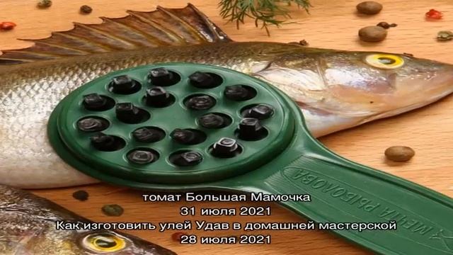 Создаем на дачном участке пруд для разведения рыбы смотреть онлайн