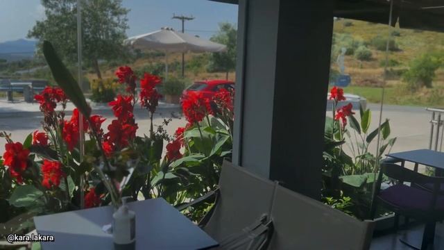 Страхование в Греции, путешествие в город Халкида, феномен смотреть онлайн