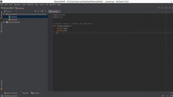 Python Network Programming 2 - Creating a Socket ( Socket Programming )