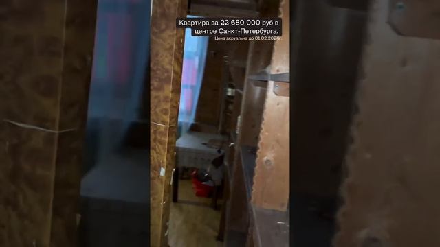Квартира в центре Санкт-Петербурга всего за 23 миллиона рублей.??? смотреть онлайн