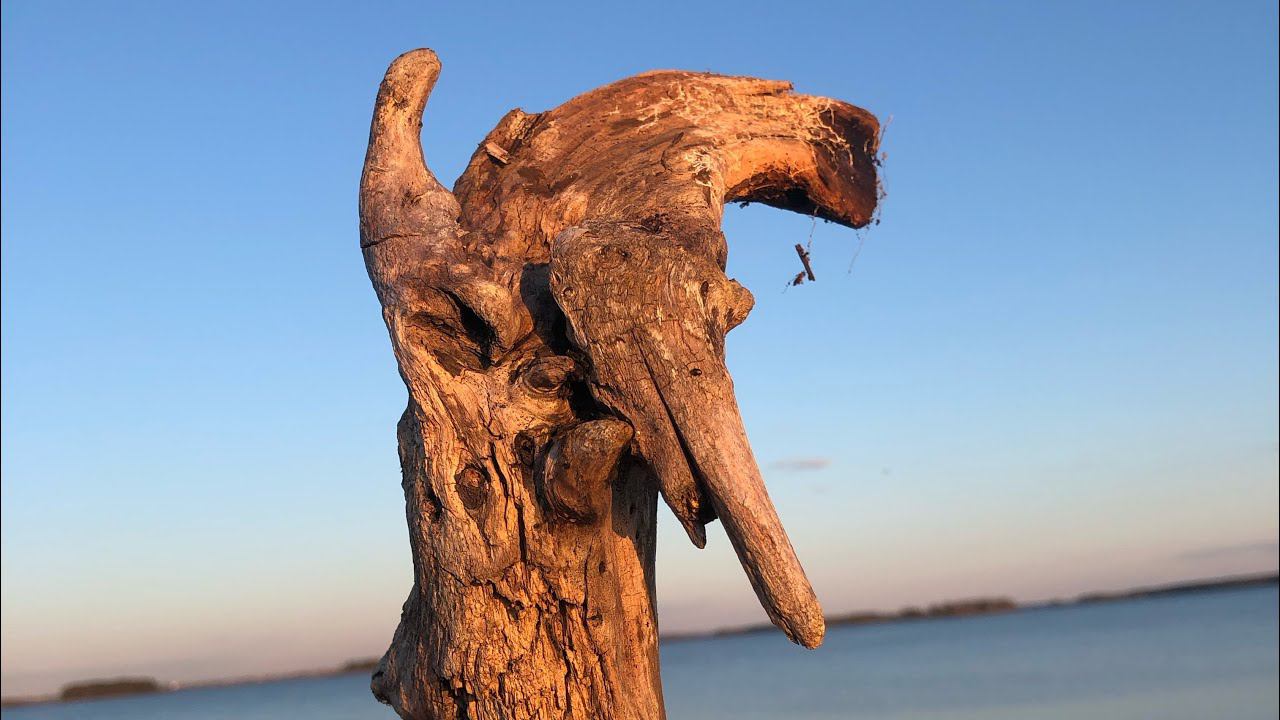 Коряга по цене айфона или прогулка вдоль озера под шум моря и пение птиц залипалка смотреть онлайн