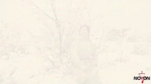 Тыва дылым | Мой тувинский язык