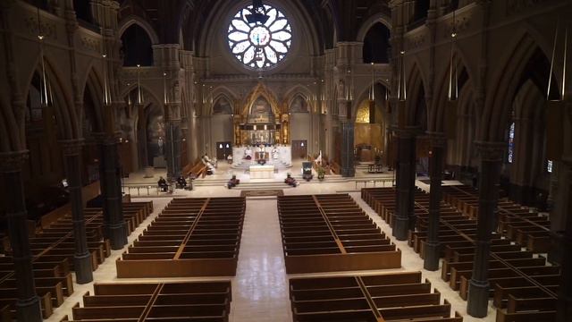 Bishop Tobin broadcast Easter Mass смотреть онлайн