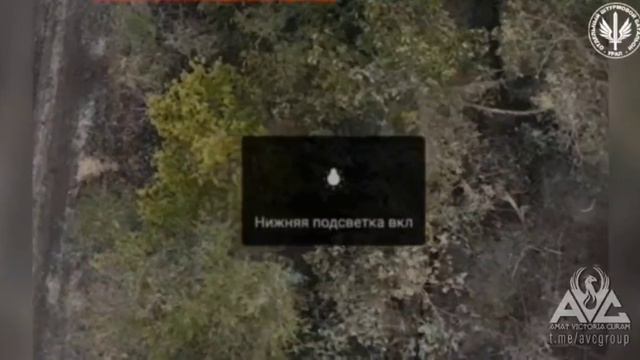 ⚠️21+ Работа сотрудников AVC Group в ОШБ 