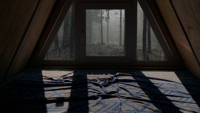 30 Minute Rain Sounds On Wooden Roof - 30 Min Rain Sound For Sleep - Cabin Ambience Sound