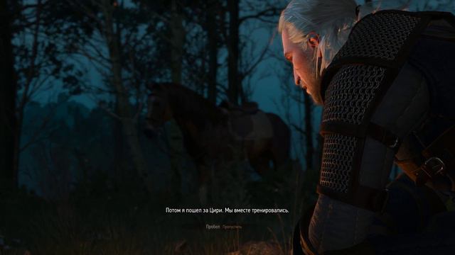 The Witcher 3 11 25 2017 16 52 12 02 смотреть онлайн