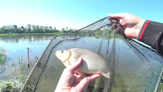 ПЕРВЫЙ раз на ДОНУ. Рыбалка в Воронежской области. Часть 2. 28 июн. 2020 г. смотреть онлайн