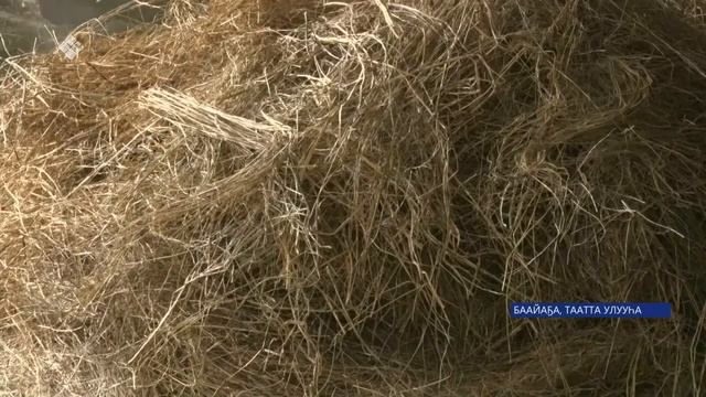 Үлэ сыла. Игнатий Слепцов хаһаайыстыбата смотреть онлайн