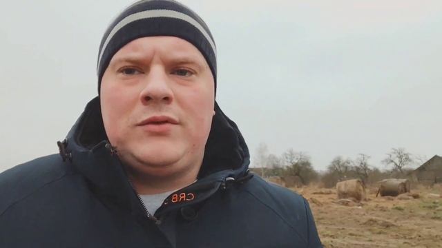 Часть 1 Почему не стоит держать только одну корову? / Куда девать молоко/ Расходы и доходы от прода смотреть онлайн