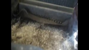 Экономия торфа и комбикорма/Что можно добавлять червю/Разведение червя дендробена