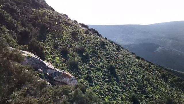 Пеший поход в горы национальный парк смотреть онлайн