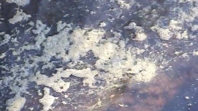 11 10 08 Iz daleka dolgo techet reka Volga смотреть онлайн