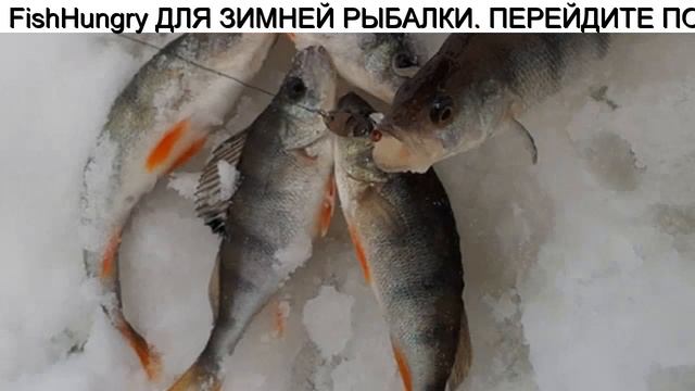 Купить Прикормки Для Зимней Рыбалки смотреть онлайн