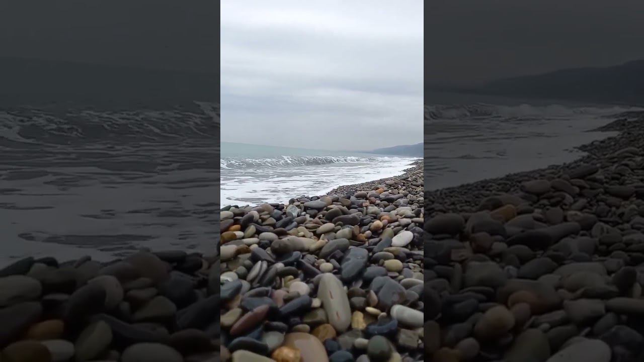 01.03.23 г.С первым днем весны! Лазаревское #shorts #погодалазаревское #погодасочи #веснапришла смотреть онлайн