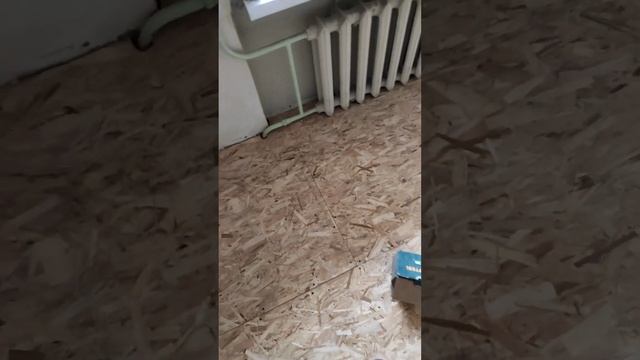 Теплое Сообщество