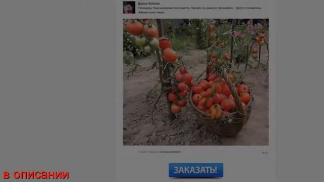AGROPLANT комплексное гранулированное биоудобрение купить Сергиев Посад смотреть онлайн