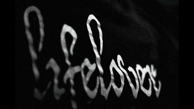 Lifelover | Twitch [Full Cover] #lifelover #cover #schecter