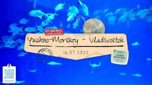 Отпуск в Приморье. Южно-Морской - Владивосток. Дельфинарий. Гостиница Восток. (12 день 16.07.2022)