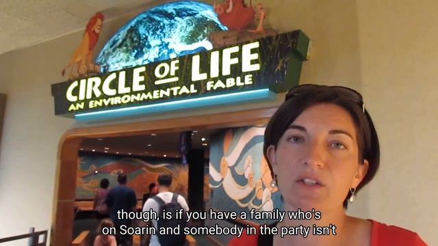 Have you ever see the Circle of Life at Epcot? Kathie tells why you should. смотреть онлайн