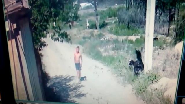 супер танец живота от немцев(1) смотреть онлайн